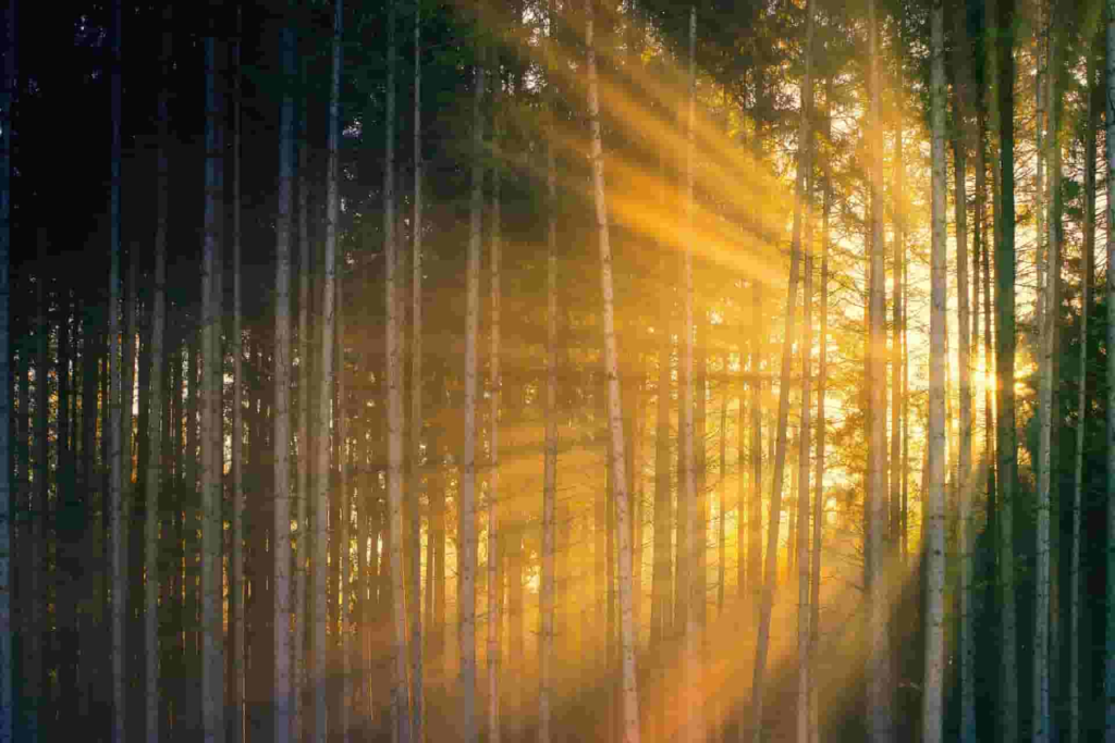 Seeking for grown certainty in Uncertainty —2023 from Kelai Wood-kelaiwood Seeking for grown certainty in Uncertainty —2023 from Kelai Wood-kelaiwood
