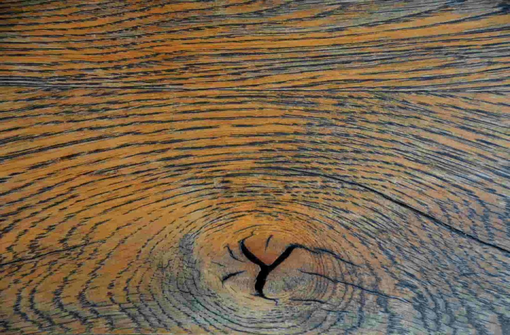 Seeking for grown certainty in Uncertainty —2023 from Kelai Wood-kelaiwood Seeking for grown certainty in Uncertainty —2023 from Kelai Wood-kelaiwood