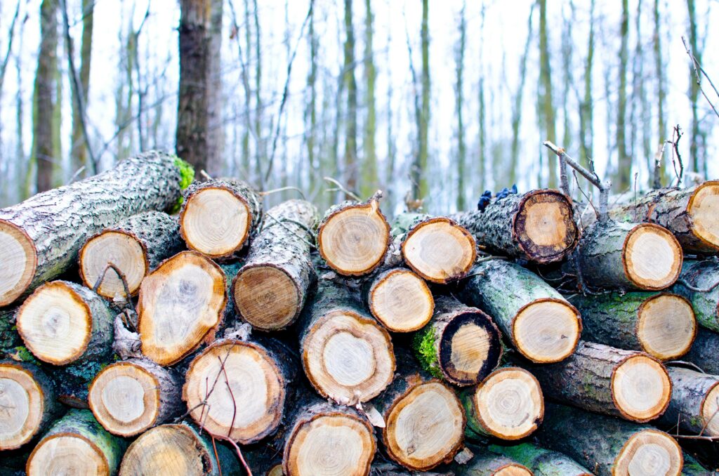 <strong>Why We Suspend Timber Intake in Summer: Kelaiwood’s “Color Philosophy”</strong>-kelaiwood <strong>Why We Suspend Timber Intake in Summer: Kelaiwood’s “Color Philosophy”</strong>-kelaiwood